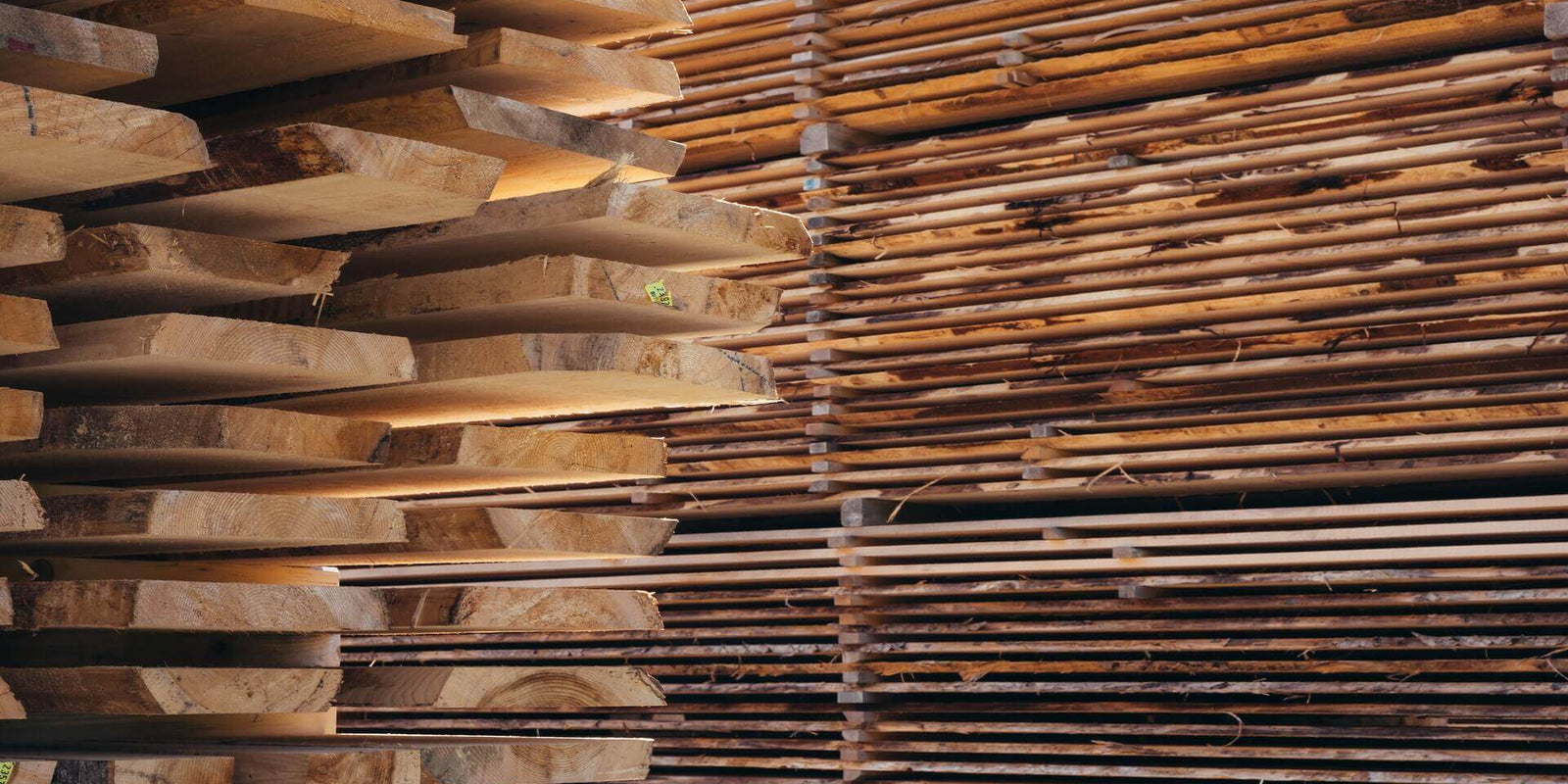 Some Popular Wood Types and Their Characteristics