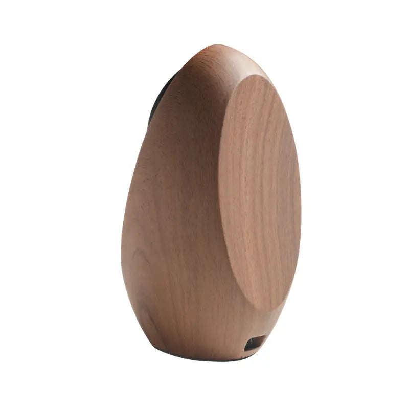 Black Egg