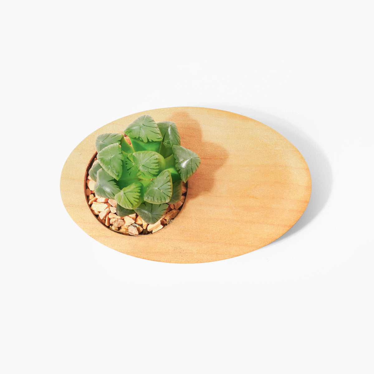 Office Desk Plant Pot