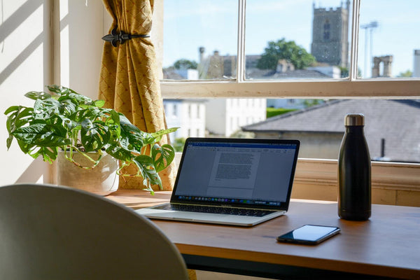 Best Plants For Office You Should Have
