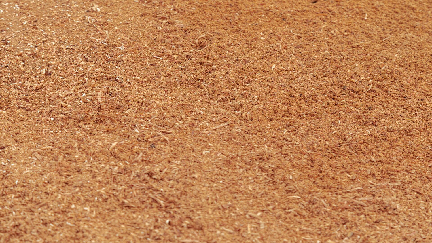 Discovering the Benefits of Wood