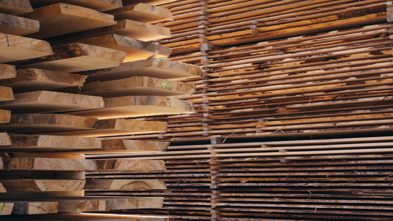 Some Popular Wood Types and Their Characteristics