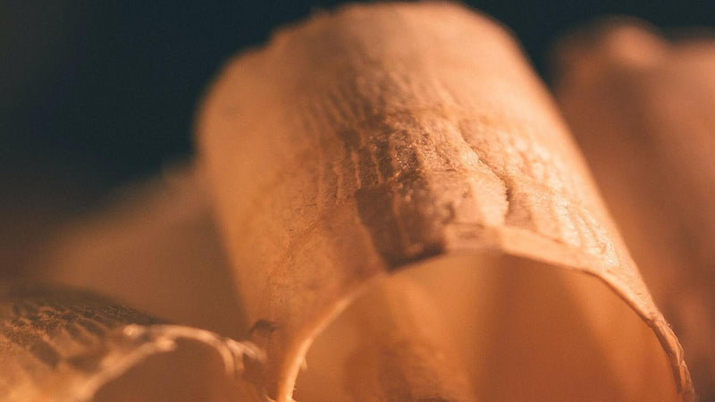 The Uses of Different Wood Species