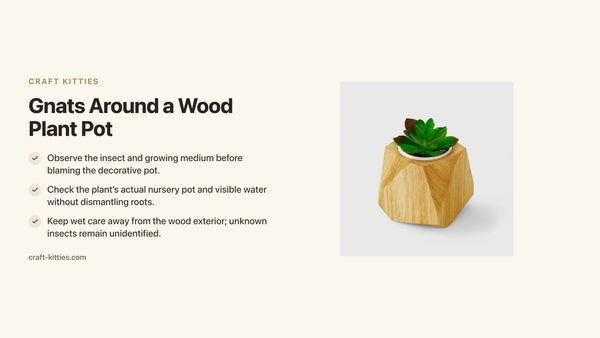 Gnats Around a Wood Plant Pot: Inspect the Growing Medium First — Craft Kitties