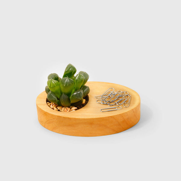 Office Desk Plant Pot