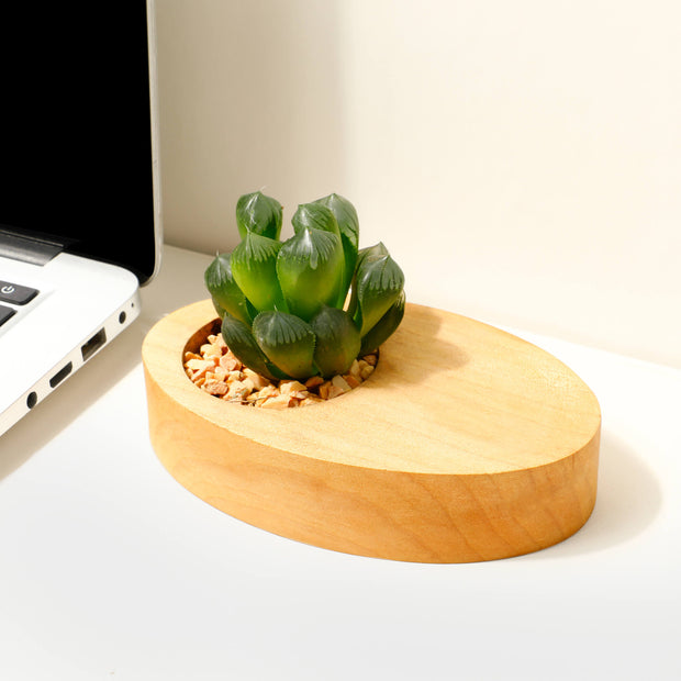 Office Desk Plant Pot