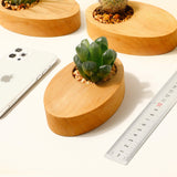 Office Desk Plant Pot