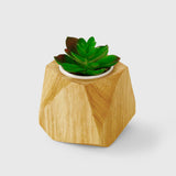 Rubberwood Plant Pot